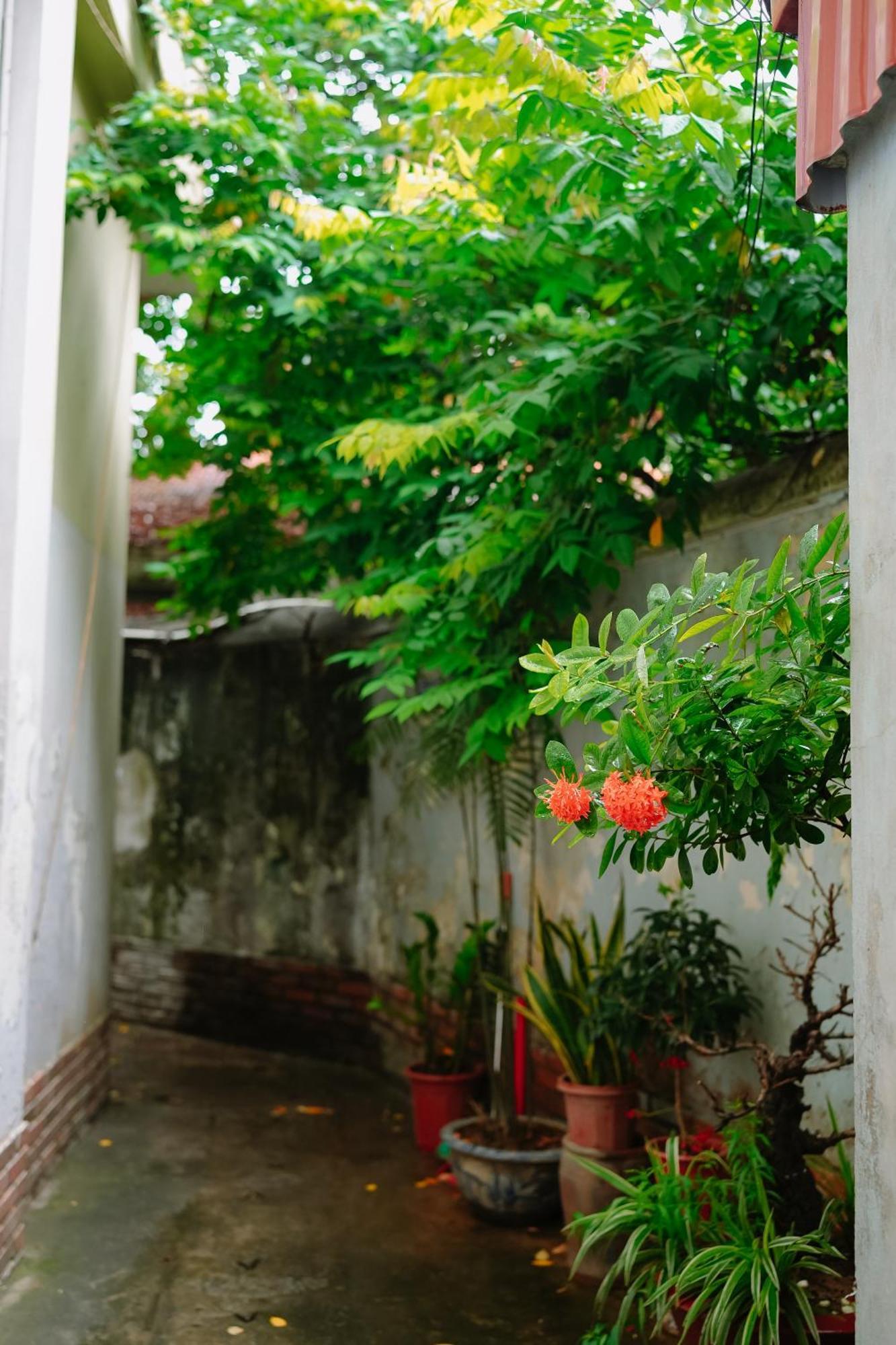 Morri Homestay - Quan Thanh Ханой Екстериор снимка