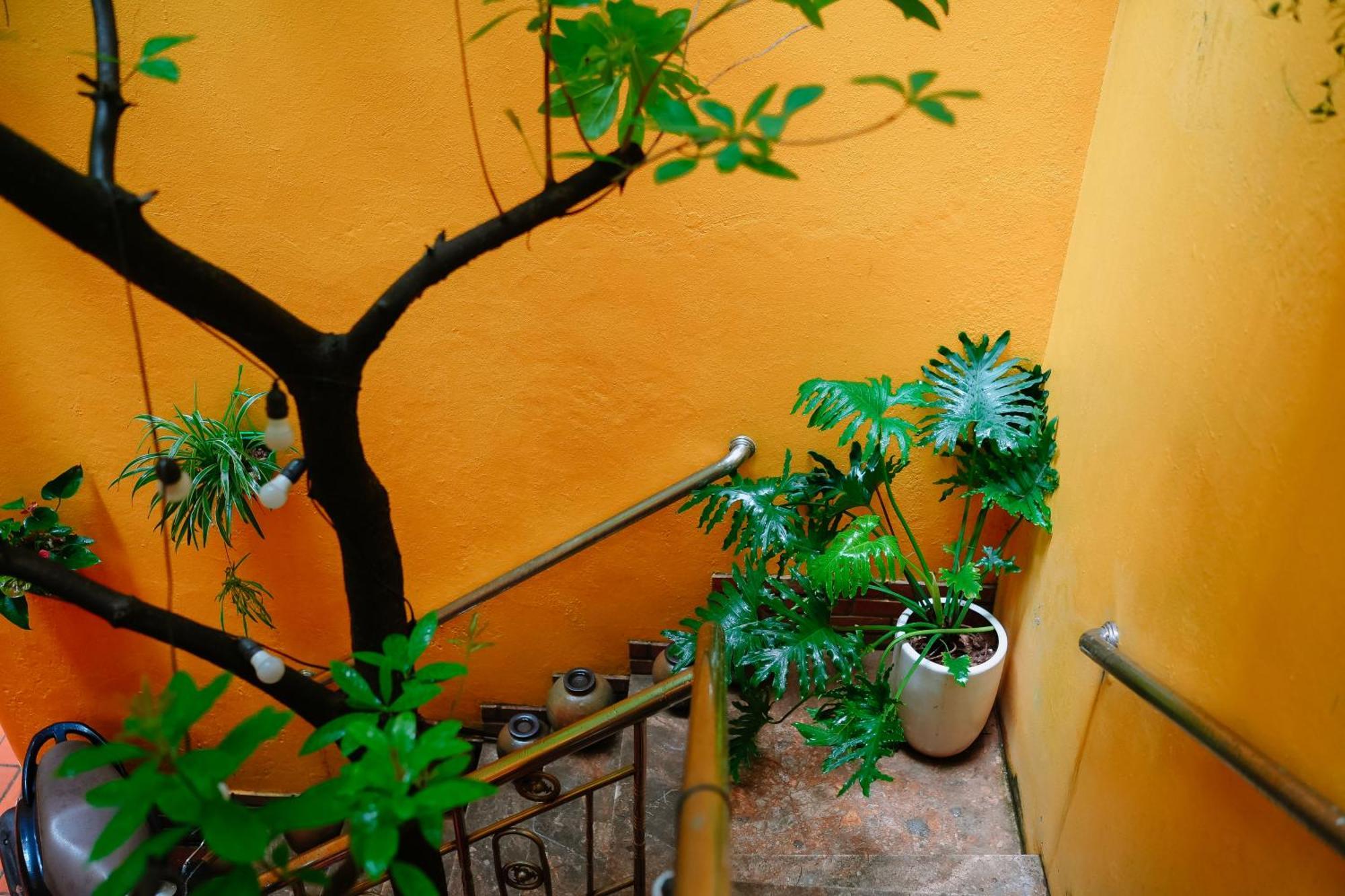 Morri Homestay - Quan Thanh Ханой Екстериор снимка