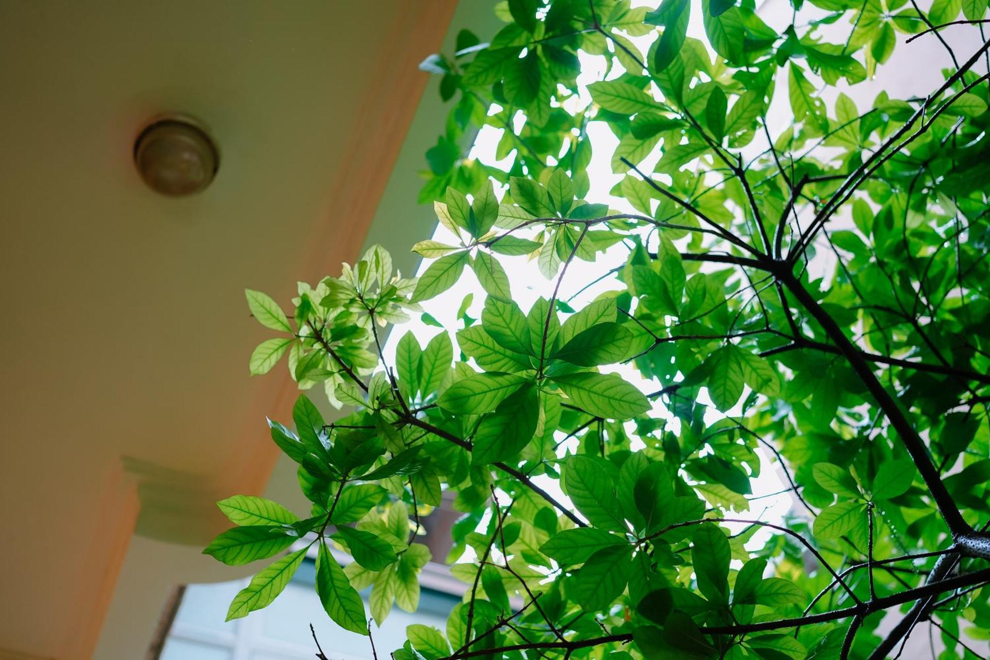 Morri Homestay - Quan Thanh Ханой Екстериор снимка