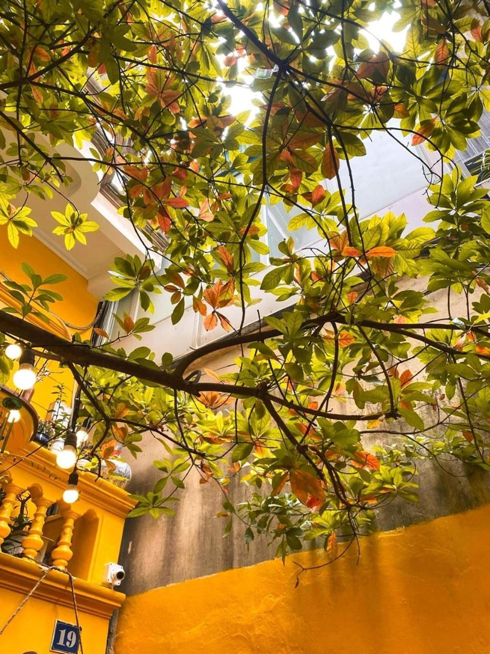 Morri Homestay - Quan Thanh Ханой Екстериор снимка